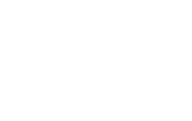 Zig Solutions Logo WHT